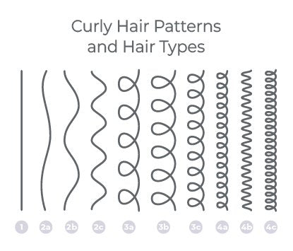 illustration of hair types and curl patterns 